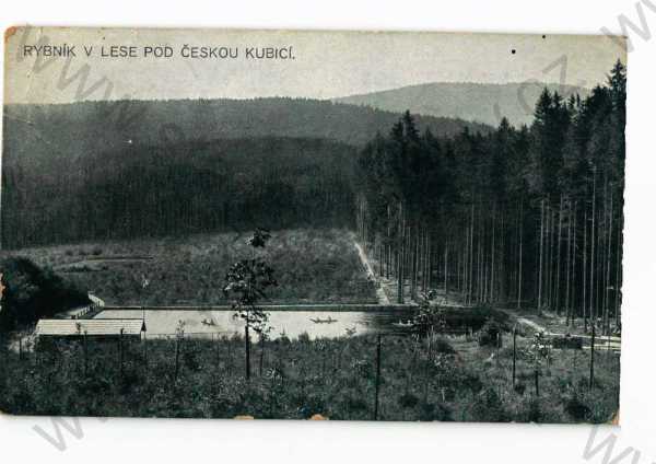  - Česká Kubice Domažlice rybník v lese 