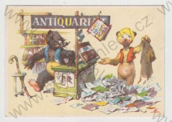  - Salač, Medvědi, antikvariát, kniha, humor, kolorovaná