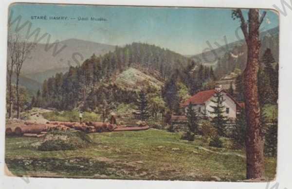  - Staré Hamry (Frýdek - Místek), Údolí Mazáku, kolorovaná