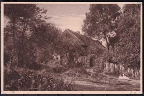  - Dolní Hrabatice (Děčín), stará chaloupka, stromy, husy, starý plot