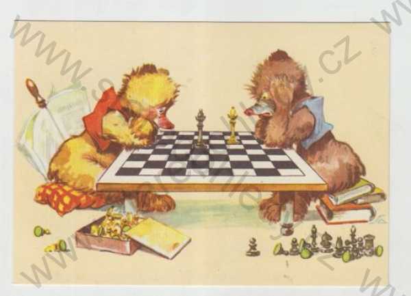  - Salač, medvědi, humor, šachy, kolorovaná