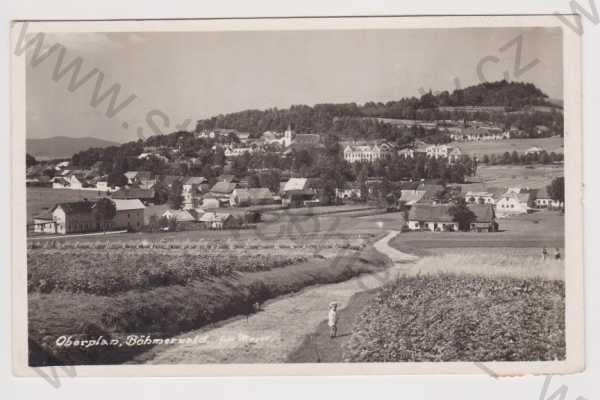  - Horní Planá - celkový pohled, foto Mayer