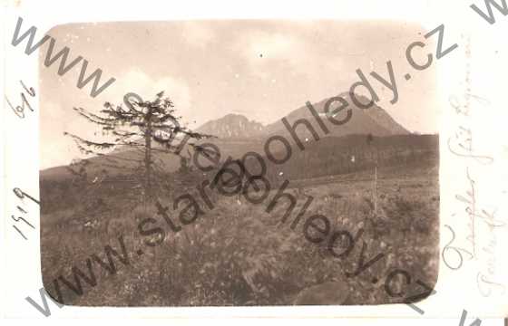  - Tatry část lesa