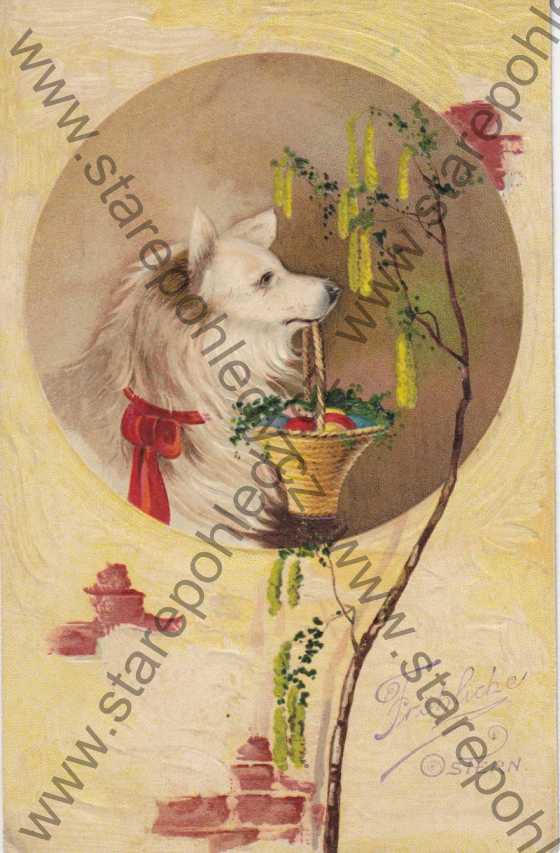  - Velikonoce, Fröhliche Ostern, plastická karta