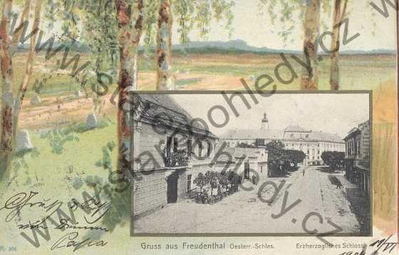  - Bruntál / Gruss aus Freudenthal, Oesterr. - Schles. - Zámek / Erzherzogliches Schloss, litografie, barevná, DA, koláž