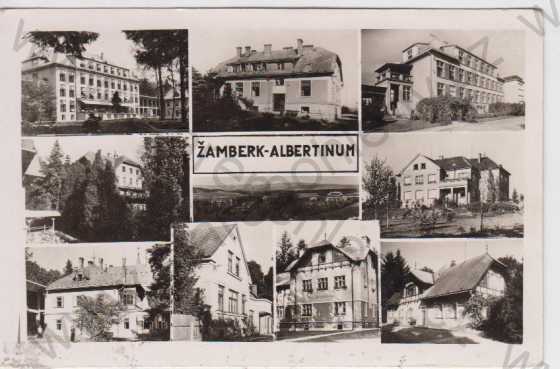  - Žamberk - albertinum, více záběrů, různé domy