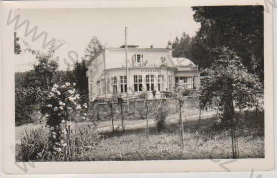  - Rychnov n. Kn., budova Studánka, zahrada