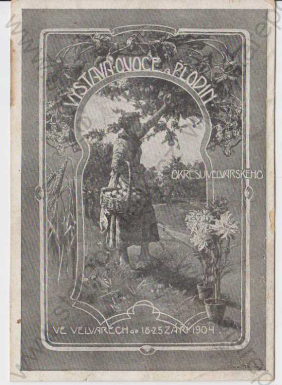 - Výstava ovoce a plodin okresu Velvarského ve Velvarech od 18. - 25. září 1904, DA