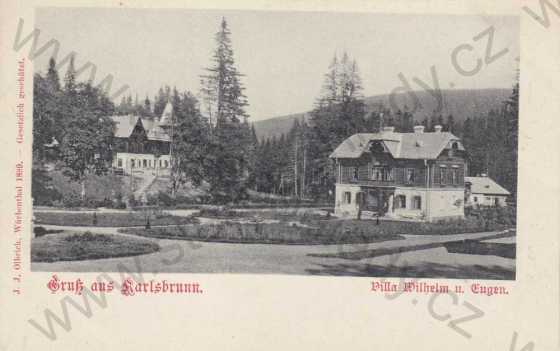  - Karlova Studánka / Karlsbrunn, Villa Wilhelm u. Eugen, DA