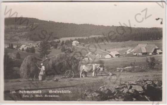  - Šumava, Hraběcí Huť (Grafenhütte) - část obce Kvilda, práce se senem na poli, v dáli domky