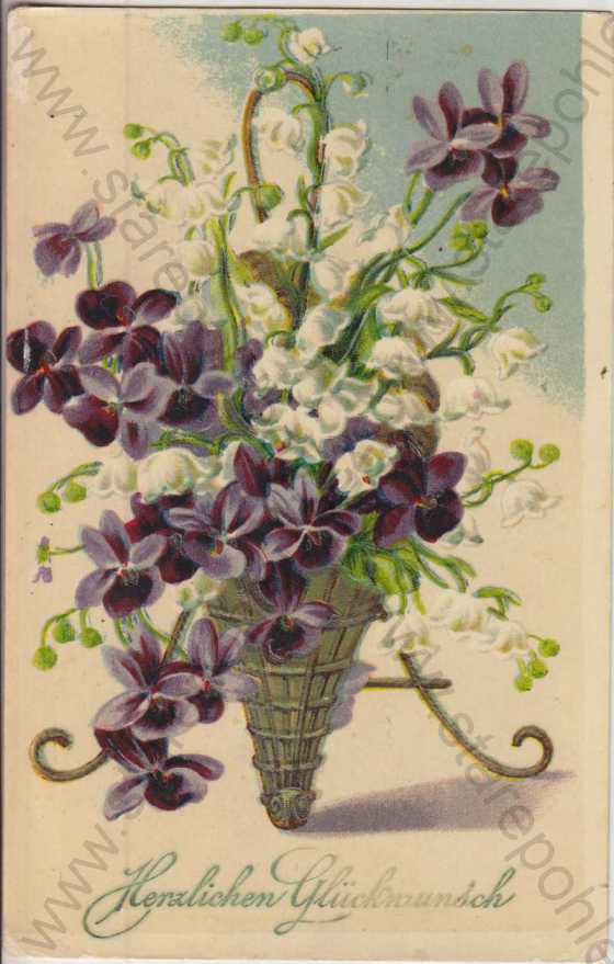  - Váza s fialovými květinami, barevná
