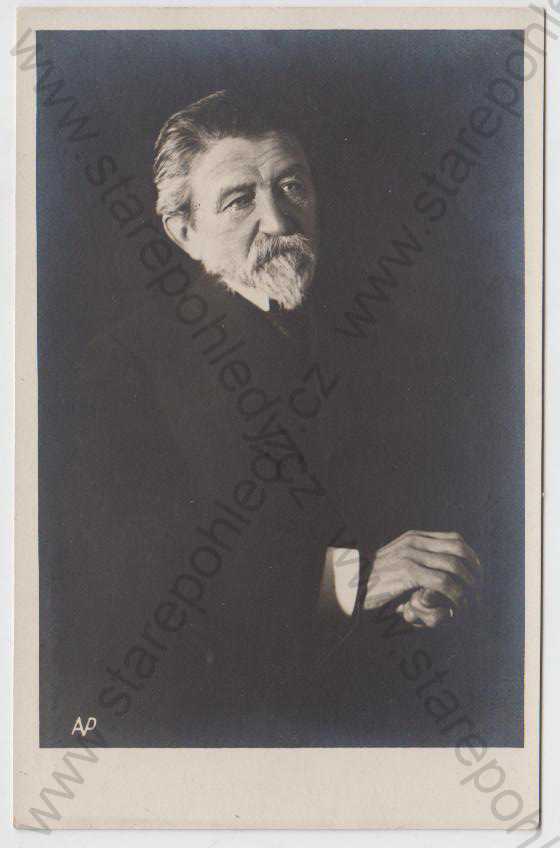  - Karel Václav Rais (český spisovatel, prozaik), 1859 - 1926, Architekt Vaněk: Galerie vynikajících osobností