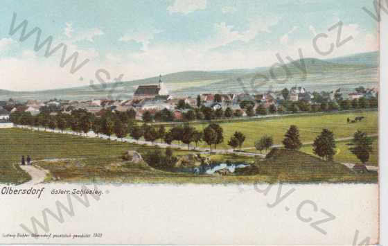  - Albrechtice (Olbersdorf), celkový pohled na město, kolorovaná, DA