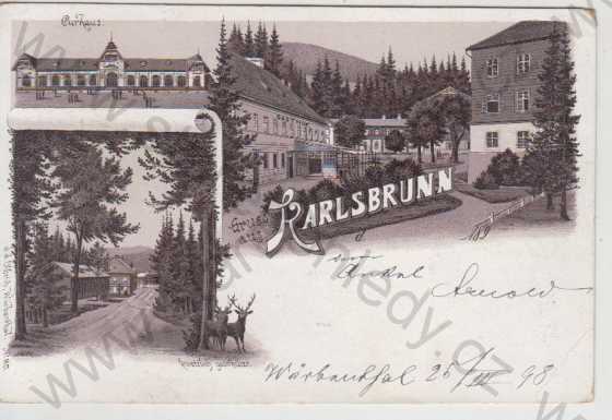  - Karlova studánka (Bad Karlsbrunn), Gasthof, Kurhaus, partie, více záběrů, DA