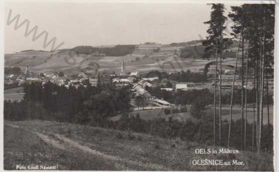  - Olešnice na Moravě (Oels in Mähren)- celkový pohled- foto Knoll