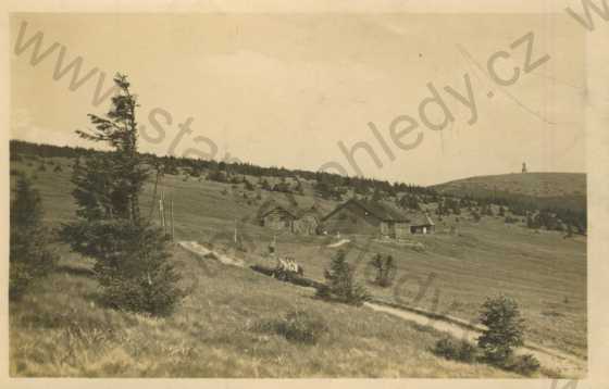  - Jeseníky (Altvatergebirge)- Švýcárna- v pozadí Praděd