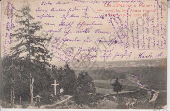  - Polná- Les Březina- celkový pohled, kříž v lese, DA