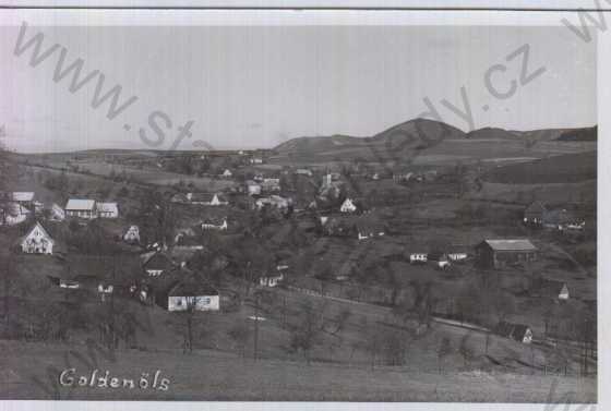  - Zlatá Olešnice (Göldenöls), pohled na město