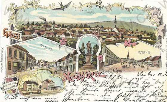  - Nová Bystřice (Neubistritz) - celkový pohled, náměstí, pomník, nádraží - vlak, ERB, litografie, DA, koláž, kolorovaná