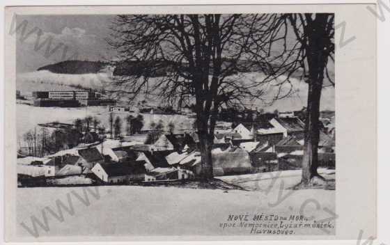  - Nové Město na Moravě - v pozadí nemocnice, lyžařský můstek, Harusovec