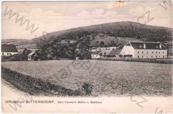  - Dětřichov nad Bystřicí (Dittersdorf) - pohled na mlýn (Carl Pucher´s Mühle), hostinec (Gasthaus)