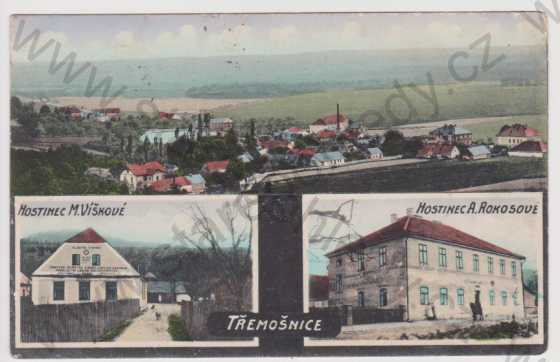  - Třemošnice - celkový pohled, hostinec M. Víškové, hostinec A. Rokosové, kolorovaná