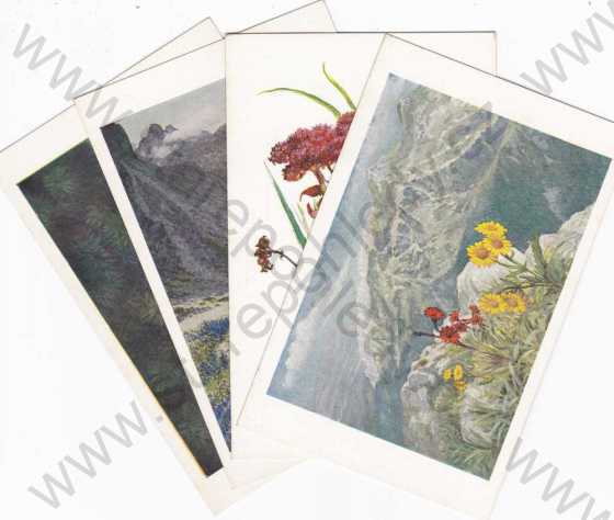  - Tatranská květena, 9ks.pohlednic -(chybí č.3), kresba
