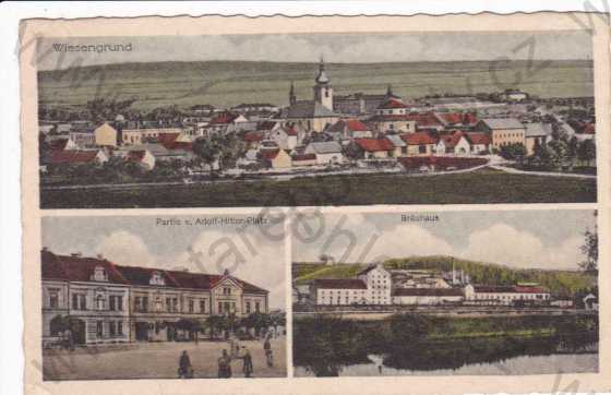  - Dobřany(Wiesengrund), více záběrů, náměstí Adolfa Hitlera, celkový pohled, kresba