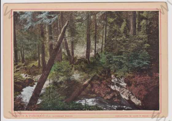  - Šumava a Pošumaví: Boubín - prales, tvrdá karta, velký formát, celoplošně nalepeno