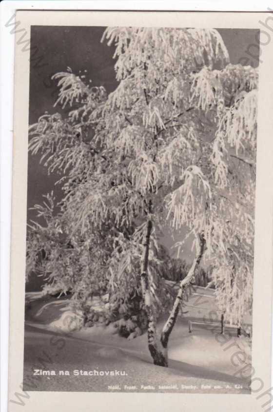  - Stachy,(Vimperk), Šumava, zima na Stachovsku, foto Fr.Fuchs