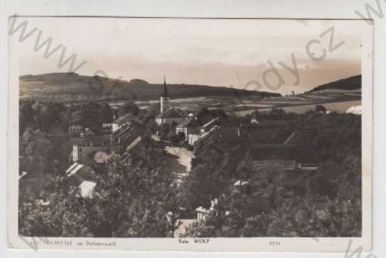  - Domažlice, Hostouň (Hostau), Pohled na město, Foto Wolf