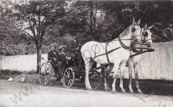  - Koně, muži v kočáru, foto O.Sixta