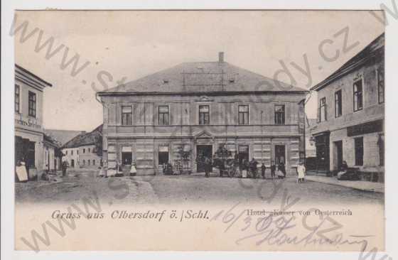  - Město Albrechtice (Olbersdorf) - Hotel Kaiser von Oesterreich, kůň, DA