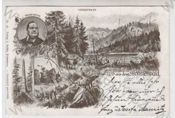 - Plošné jezero (Plöckenstein see) - Prachatice, více záběrů, Šumava, jelen, les, DA