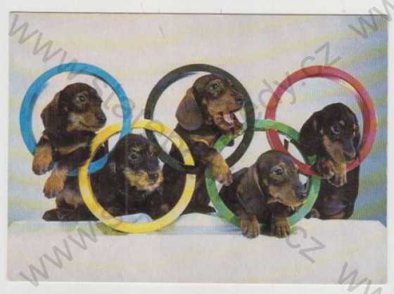  - Zvířena, pes, olympijské kruhy, kolorovaná