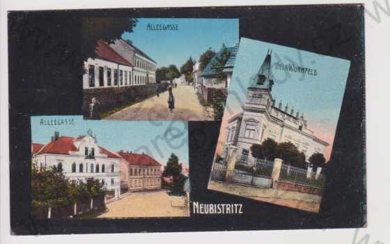  - Nová Bystřice (Neubistritz) - Alleegasse, Vila Wurmfeld, koláž, kolorovaná