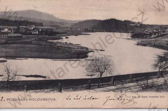  - Holoubkov (Rokycany), rybník, celkový pohled, DA