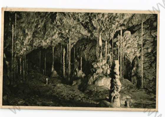  - Kateřinská jeskyně, krápníkový lesík, Blansko, foto Štenc