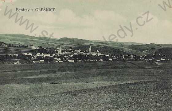  - Olešnice (Rychnov nad Kněžnou), celkový pohled