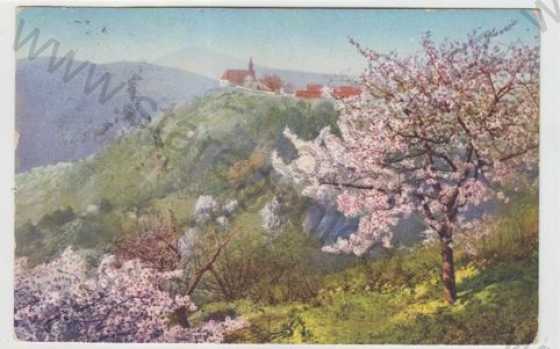  - Obraz, Magie květů v údolí Labe (Blütenzauber im Elbetal Dubitzer Kirchl), kolorovaná