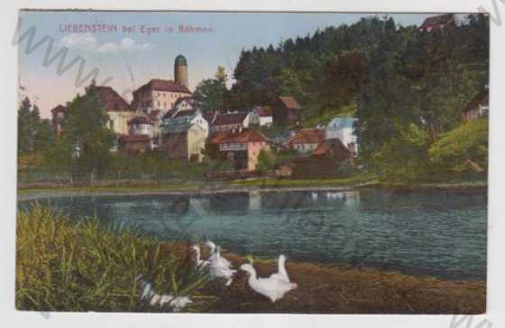  - Libá (Liebenstein) - Cheb, řeka, husa, částečný záběr města, kolorovaná