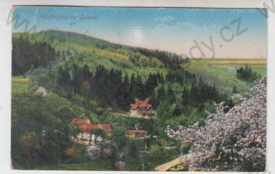  - Dolní Zálezly (Salesel) - Ústí nad Labem, mlýn, kolorovaná