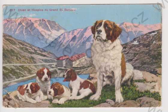  - Švýcarsko - Wallis - koláž pes, kolorovaná