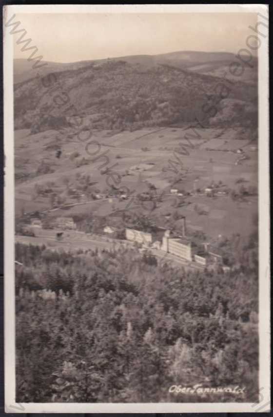  - Tanvald (Tannwald), Jablonec nad Nisou, celkový pohled