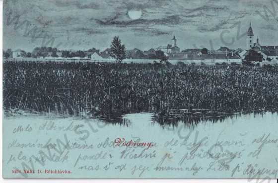  - Vodňany, Strakonice, celkový pohled, DA