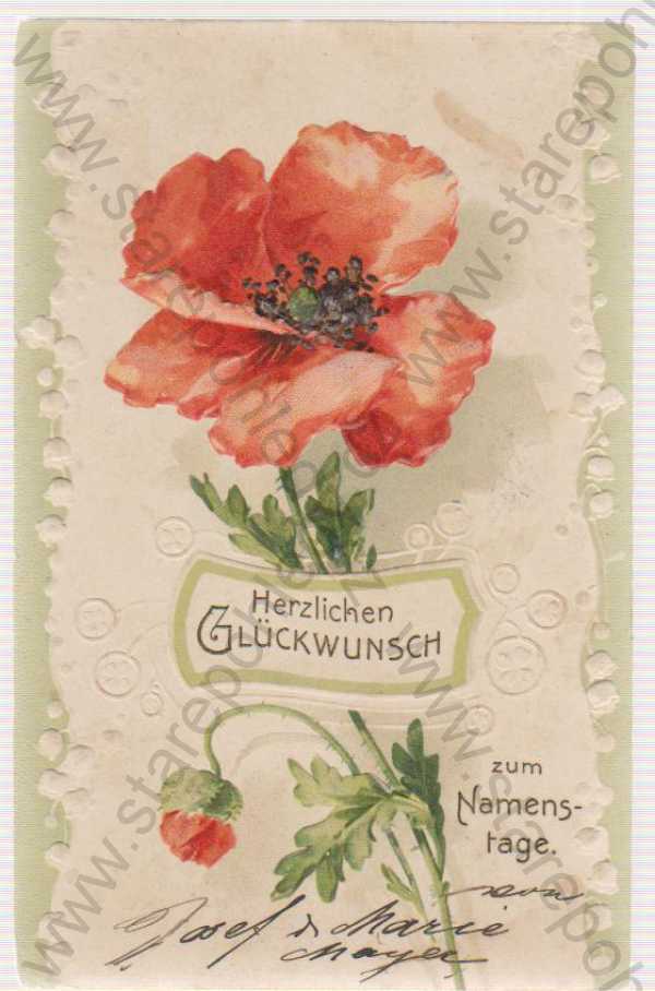 - Gratulační pohlednice, Herzlichen glückwunsch, zum Namestage, pohlednice s vlčím mákem, barevná, plastická karta