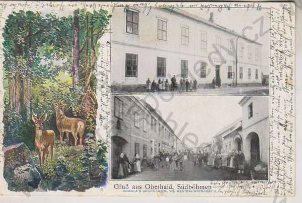  - Horní Dvořiště (Oberhaid, Südböhmen), škola, ulice, partie z lesa, DA