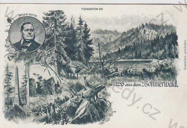  - Prachatice - Böhmerwald, jezero, lesy, podobizna A. Stifter, DA