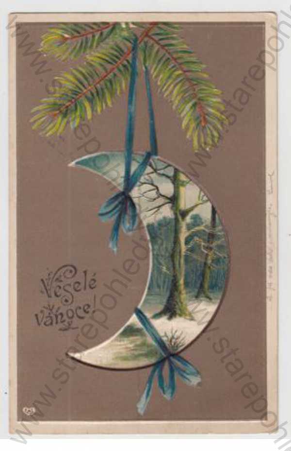  - Vánoce, větvička, chvojí, měsíc, les, sníh, zimní, kolorovaná, plastická karta