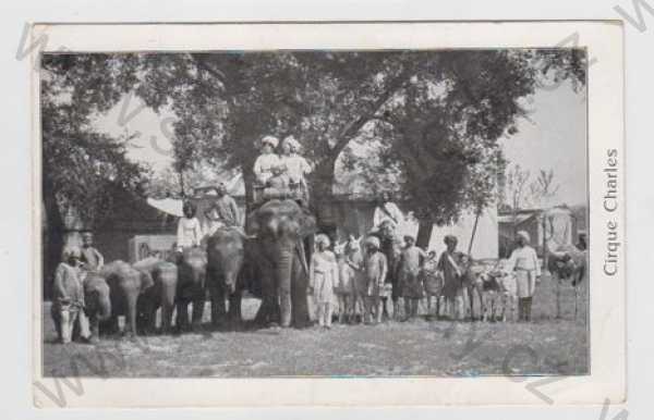  - Cirkus, slon, osel, artista, společné foto